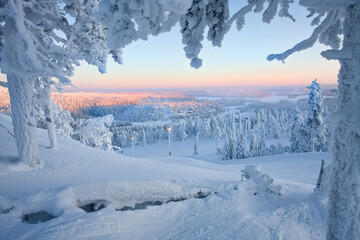 
Winter beauty of a snow-covered forest in a ski resort in the Arctic Circle in Finland Ruka