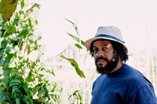 Portrait of African-American in the orchard