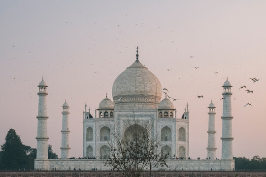 Taj Mahal at sunset while birds flying around, as seen from Mehtab Bagh viewpoint, Agra