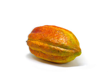 Cocoa fruit whole isolated on white background. Chocolate production ingredient. Raw whole fruit of cocoa plant studio photo. Chocolate package clipart. Southeast asian agriculture harvest. Ripe cocoa