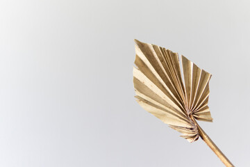 autumn wedding stationery still life. Empty wall mockup scene on background of dry palm leaf in vase. Grunge white textured background. Horizontal layout, side view. Tropical vacation concept. Boho