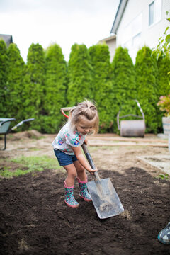 Two year old girl shoveling dirt in her backyard.
