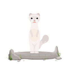A white mink stands on a stone. Mink in a flat style. Isolated, vector.