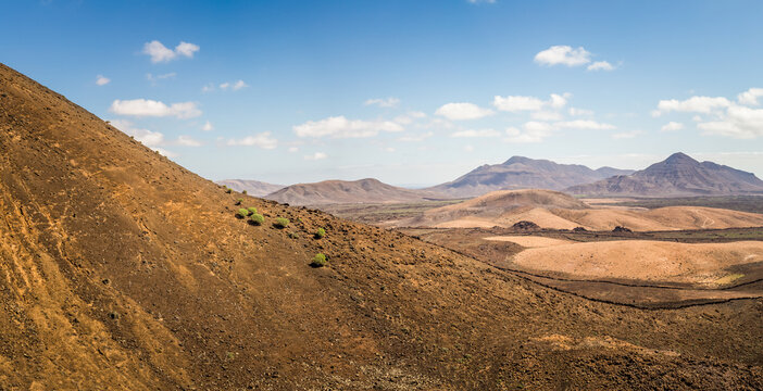 Vegetation from the Caldera de Gairia volcano in Fuerteventura.