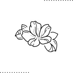cherry blossom vector icon in outlines
