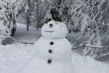 snowman in the forest