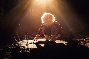 Blond child on tree stump in beautiful forest light in New Zealand