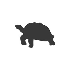 Turtle icon, vector illustration modern flat style