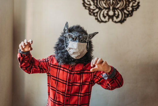 Young boy in wolf mask with face covering over mask standing at home