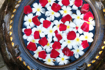 red white flower petal floating on water in jar