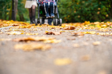 Feet of a family with a baby in a stroller walking along an asphalt road strewn with yellow leaves against a background of green foliage