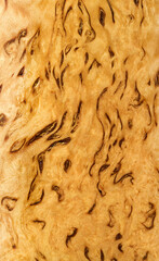 Karelian birch wood grain. Wood texture close up. Natural decorative pattern.