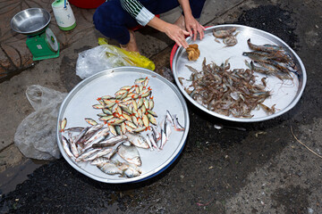 Mujer vendiendo pescado en la calle, Asia.