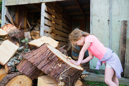 Young girl counting rings on a tree stump beside woodshed