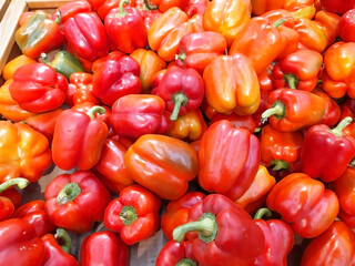 Pepper. Red bell pepper on the supermarket counter. A large number of red peppers in a heap. Background. Texture. Food. View from above.