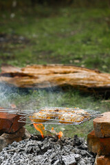 Bonfire for grill or bbq picnic in the forest. Slices of fried chicken baked on the coals of a fire. Campfire