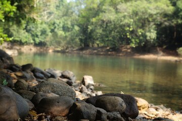 Fototapeta na wymiar Mountain river. State Of Goa. India