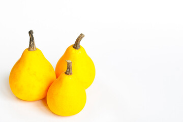 Three orange decorative pumpkins on a white background. Hello autumn. Autumn pumpkin harvest and farm