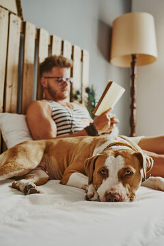 A young blond boy reading in bed with his dog