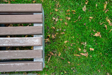Bench and the grass.