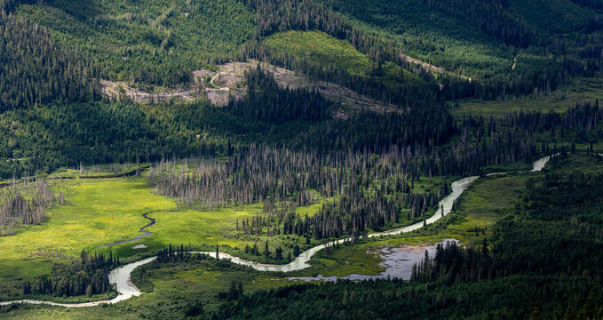 Curvy river flowing near forest in green valley near mountain slope in highlands of British Columbia, Canada