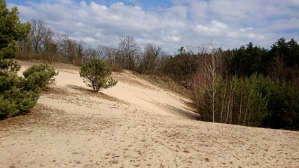 Siła natury. © WalDec