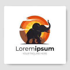 elephant logo designs vector icon illustration
