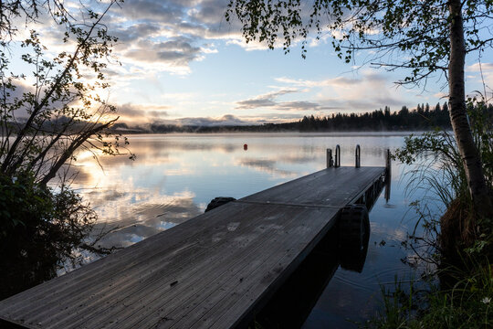 Dock by calm lake and tree during sunrise with reflection of clouds