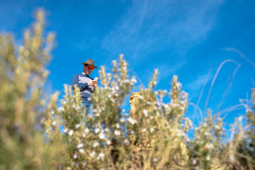 Low angle view of a man with hat and sunglasses standing behind plants while using a mobile phone
