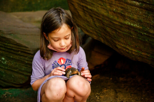 A little girl tenderly looks down at a small painted turtle in her lap