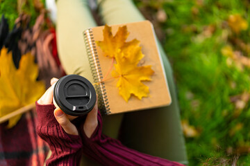 Leisure with a warm blanket and a cup of coffee and yellow leaves in an autumn park. Autumnal mood, the person enjoys the colors of autumn