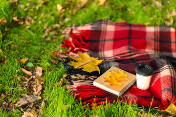 Leisure with a warm blanket and a cup of coffee in an autumn park. Autumn mood and state of mind