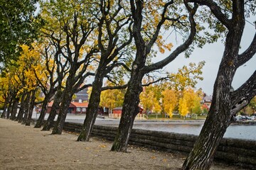 Östersund, Sweden - September 30 2020: Autumn trees in Badhusparken