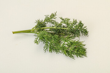 Aroma seasoning - Green Dill branch