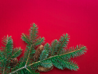 Hello December. Fir branches with pine cones on red background. Winter, Christmas, Merry Christmas or Happy New Year concept. Flat lay, top view, copy space