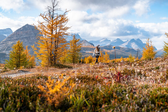 Hiking Healey Pass Near Egypt Lakes in Banff During Autumn