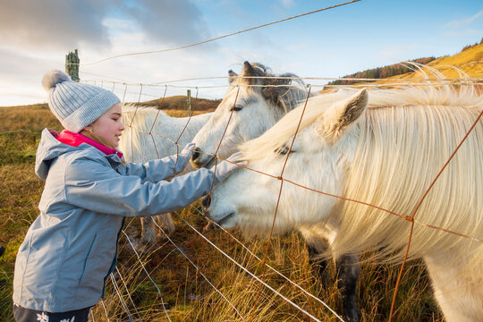 Girl patting horses through a fence