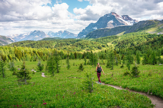 Hiker Walking Through Healey Pass in Banff National Park