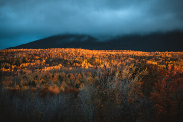 dramatic fall morning light on the forests of northern Maine