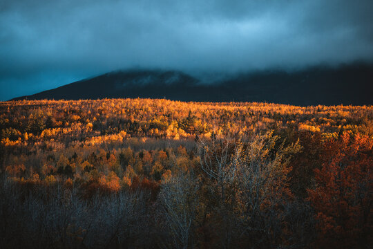 dramatic fall morning light on the forests of northern Maine