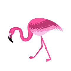 Naklejka premium Cute pink flamingo isolated on white background vector illustration