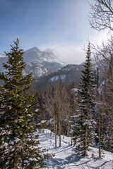Rocky Mountain National Park Winter Wonderland - 392073594
