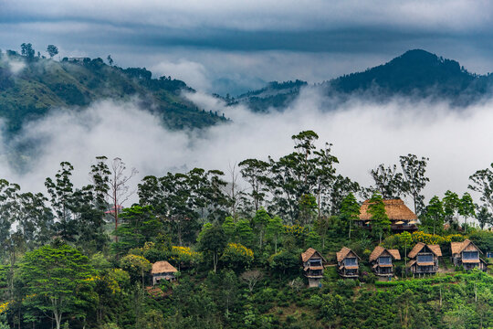 houses of a tea lodge above Ella in Sri Lanka