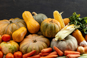 Autumn harvest of pumpkins and other vegetables