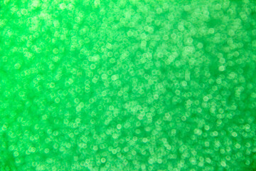 green christmas abstract background with bokeh defocused lights