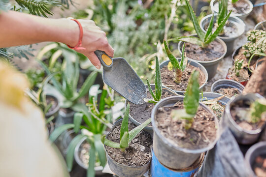 Young woman doing garden work