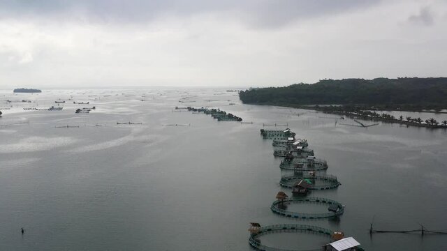 Aerial view of fish ponds for bangus, milkfish. Fish farm, top view. large scale traditional floating fish farms.