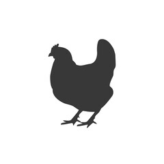 Chicken icon, silhouette, logo on white background. 