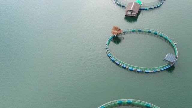 Fish farm with cages for fish and shrimp in the Philippines, Luzon. Aerial view of fish ponds for bangus, milkfish. Fish cage for tilapia, milkfish farming aquaculture or pisciculture practices.
