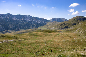 Fantastic mountains of Montenegro. Panoramic road. Picturesque mountain landscape of Durmitor National Park, Montenegro, Europe, Balkans, Dinaric Alps, UNESCO World Heritage Site.